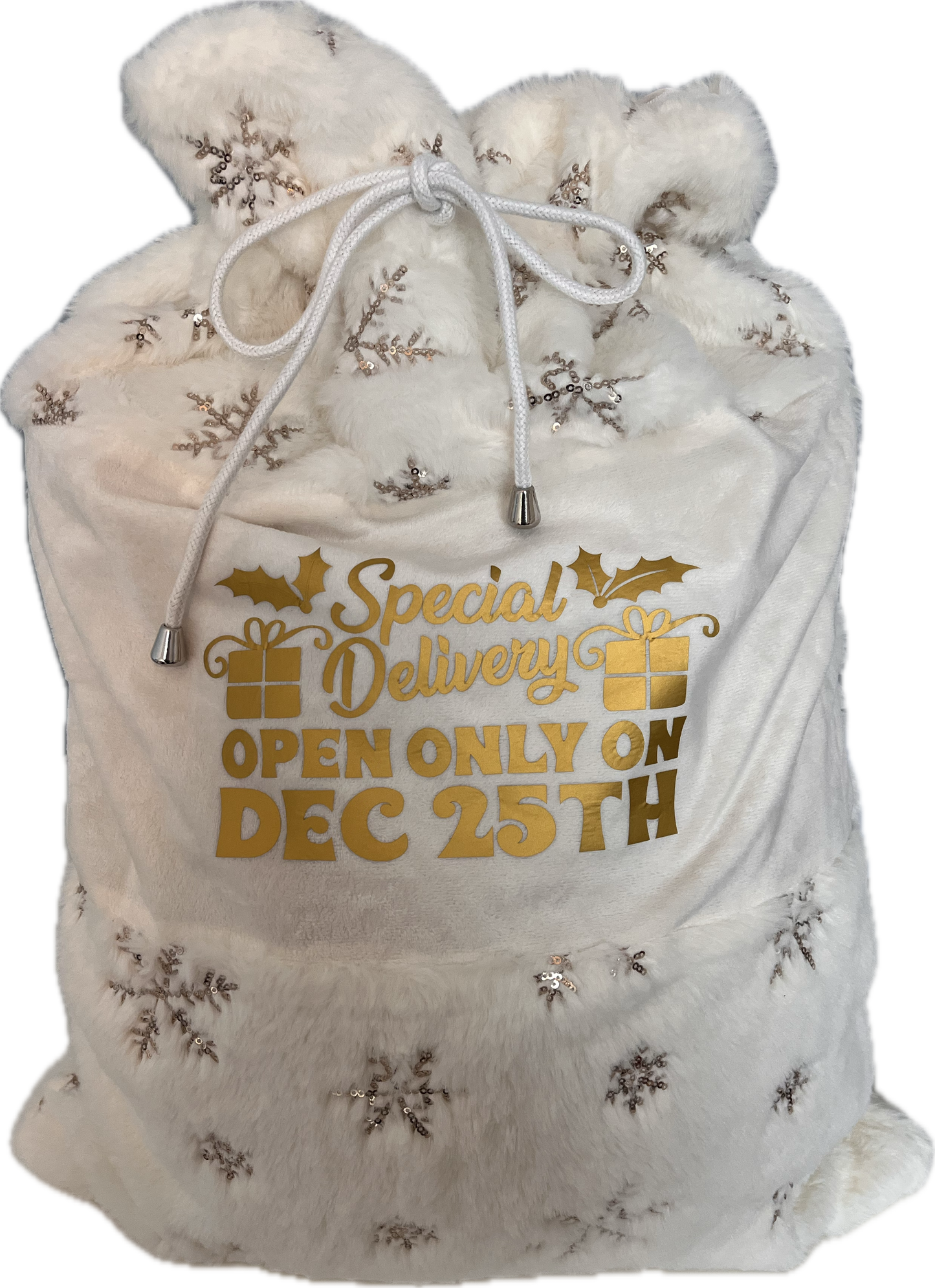 Christmas Toy Sack - Do Not Open Design